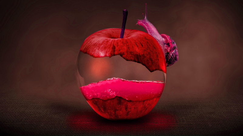 red, fantasy, snail, apple, background, 4K