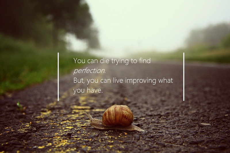 no people, quote, message, snail, focus on foreground, outdoors, road, shell, communication, animal, gastropod, mollusk, capital letter, nature, close-up