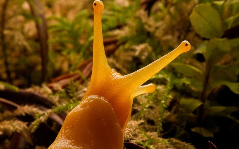 growth, close-up, personal perspective, hand, plant, finger, human finger, one person, animals, holding, lifestyles, focus on foreground, body part, beauty in nature