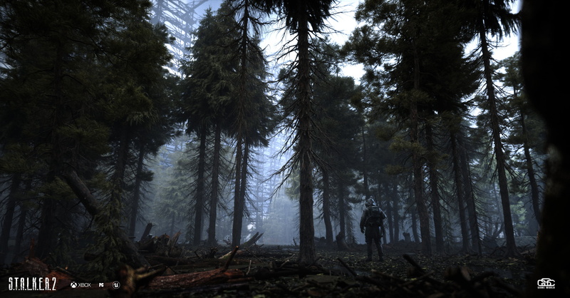 4K, post apocalypse, S.T.A.L.K.E.R.: Shadow of Chernobyl, pine trees, shooter, S.T.A.L.K.E.R.: Call of Pripyat, cinematic, S.T.A.L.K.E.R.: Clear Sky, S
