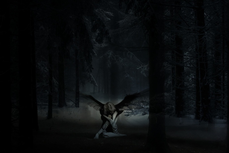 suit, mammal, nature, jacket, night, young adult, dark, man, cold temperature, photo, one person, full length, tree, land, woodland, black, one animal