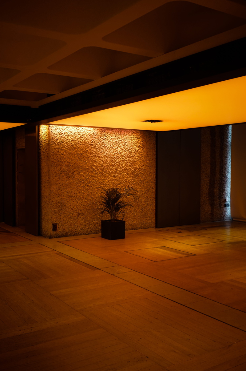 flooring, built structure, no people, brutalism, indoor flower, wood, wall, warm, 8K, indoors, yellow, light, parquet, room, united kingdom, flower, empty