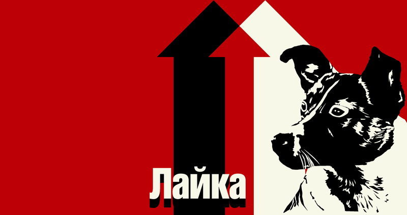 Laika, Soviet Union, dog, Ahoy, USSR, 4K
