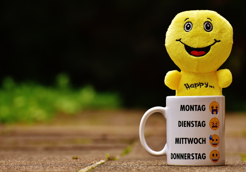 feeling, laugh, floor, cheerful, cup, emotions, fun, 5K, smiley, stuffed toy, text, smiling, smilies, smile, ceramic, face, mug, funny, land, close-up