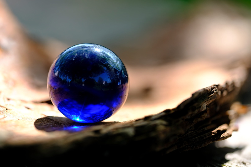 about, selective focus, tree, planet - space, purple, land, wood - material, focus on foreground, glass, day, solid, shiny, 5K, blue, mirroring, sphere