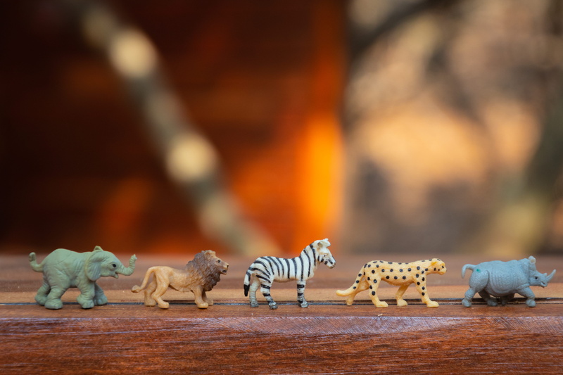 focus on foreground, little, extinct, row, sculpture, animal, art and craft, selective focus, plastic, table, wild, toys, wild animals, wood, animal representation