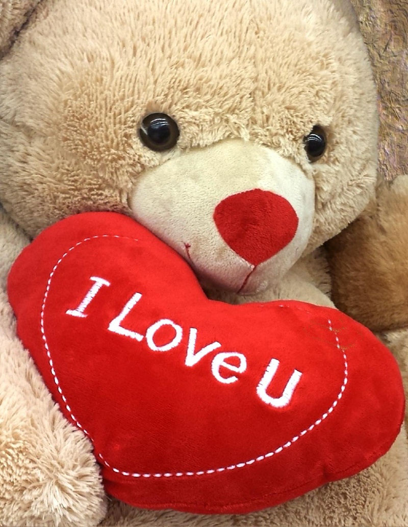 no people, birthday, indoors, teddy bear, animal representation, color, gift, close-up, western script, fluffy, brown, decoration, fun, animal themes, love