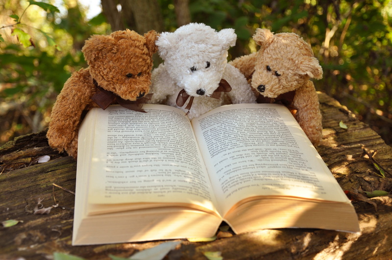 wooden, day, brown, stuffed toy, spirituality, book, three, adorable, toy, soft, stuffed, close-up, page, publication, white, representation, education