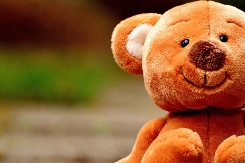 children toys, teddy, soft toy, plush, play, close-up, cute, animal, animal themes, photography, toys, orange color, children, toy, brown, softness, sweet