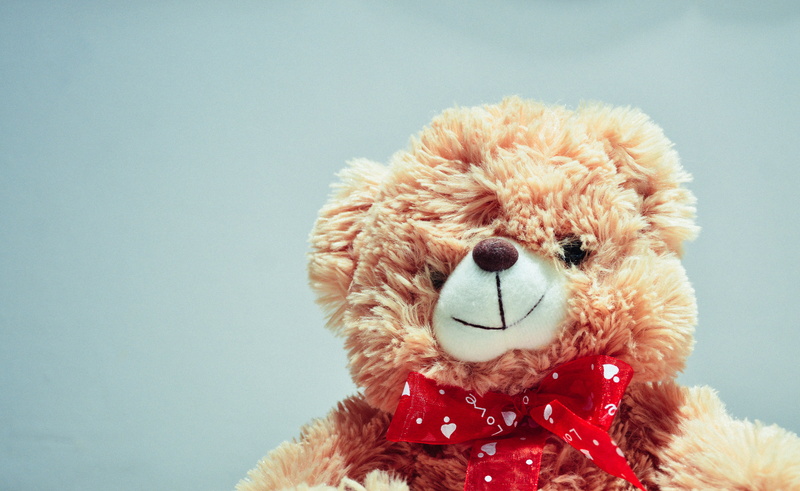 close-up, studio shot, childhood, bear, copy space, human representation, photography, children, animals, colored background, plush, fun, softness, brown