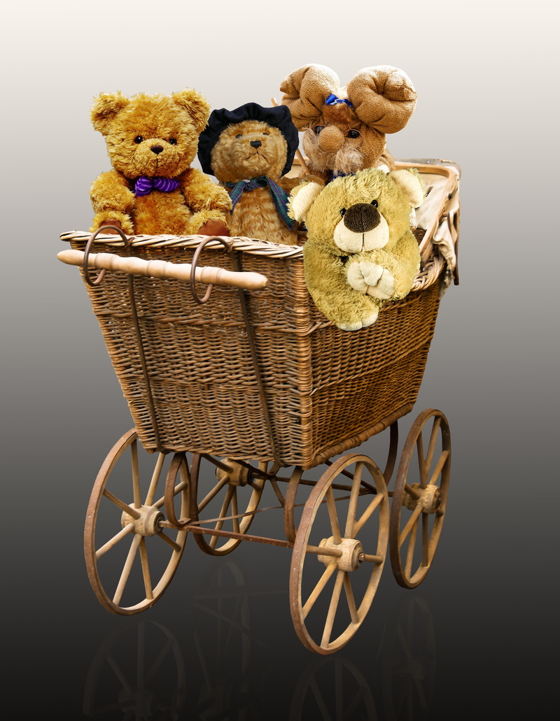 close-up, 5K, wall - building feature, wooden wheels, pram, teddy, representation, flower, container, pasture, two objects, studio shot, animal, plush