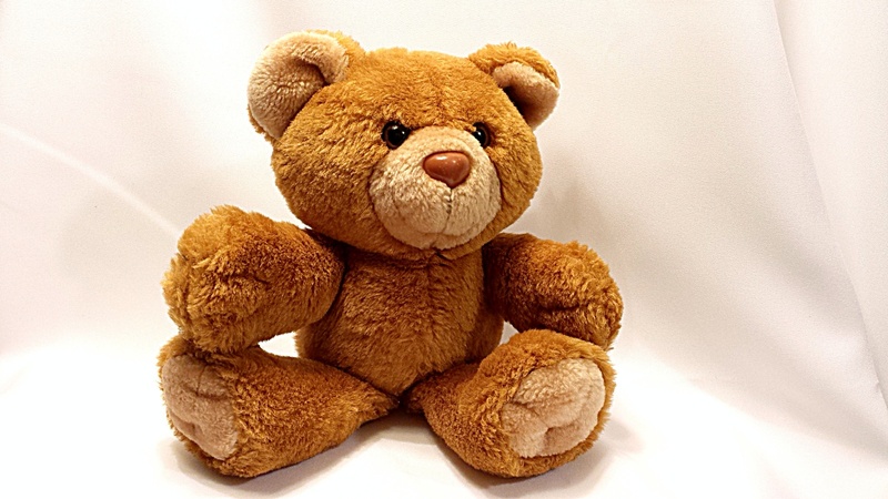 close-up, birthday, childhood, gift, animal representation, sitting, single object, fluffy, baby, softness, animal, adorable, soft, little, indoors, bear