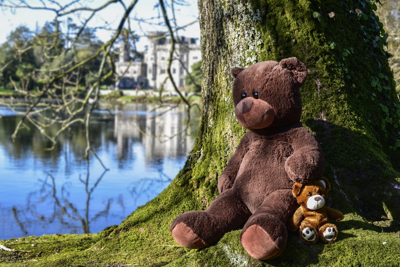 day, water, nature, soft toy, spring time, tree, representation, friends, close-up, trunk, cute, brown, 5K, plush, teddy bear, animal representation, solid