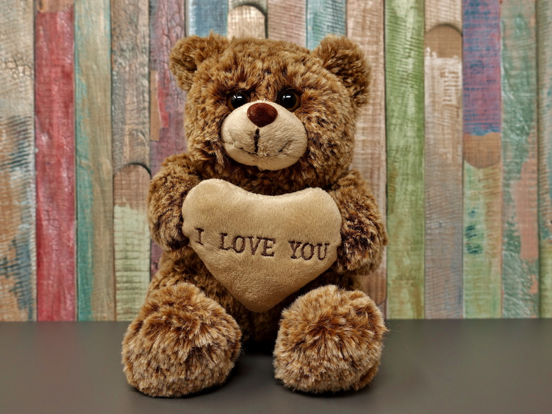 animal themes, teddy, plush, love, softness, happy, bear, toy, romance, animal, brown, still life, mammal, teddy bear, animal representation, stuffed animal
