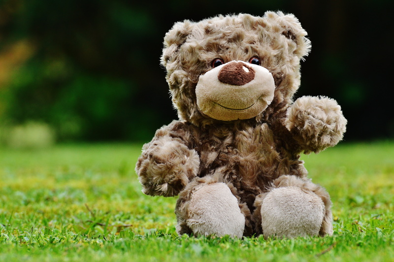 grass, teddy bear, child, bears, toy, field, stuffed animal, cute, toys, animal, portrait, green, softness, focus on foreground, bear, outdoors, canine