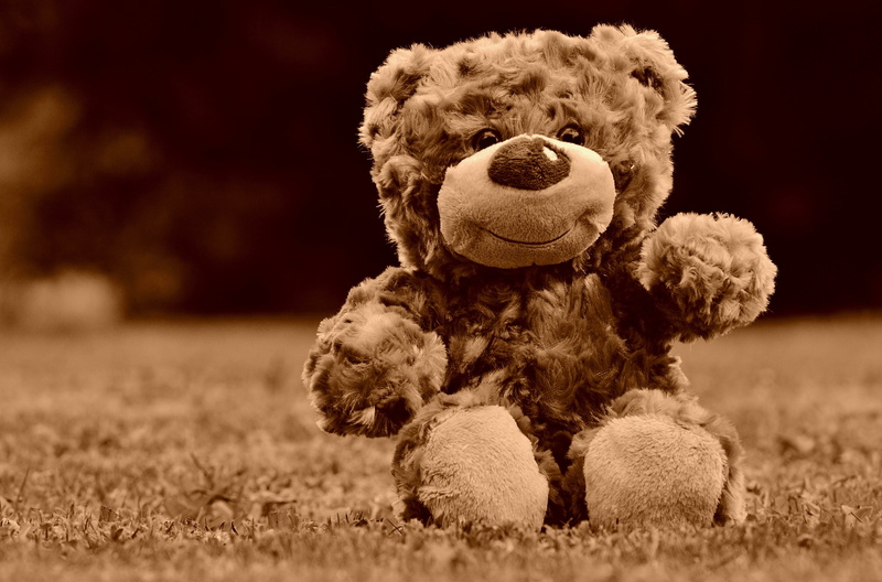 toy, representation, animal themes, bears, stuffed, softness, close-up, childhood, brown, soft toy, no people, stuffed toy, grass, 2K, outdoors, animal representation