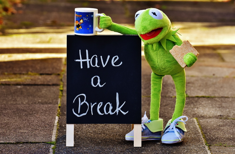 communication, toy, coffee mugs, alexas photos, mug, benefit from, beside, funny, sign, cup, frog, close-up, break, representation, plush, chalkboard, shoe