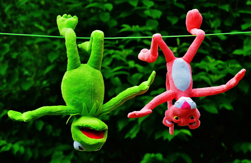 kermit, red, figure, hang out, the pink panther, play, children, animal, 5K, plush toys, beauty in nature, hanging, animal representation, flower, pink color