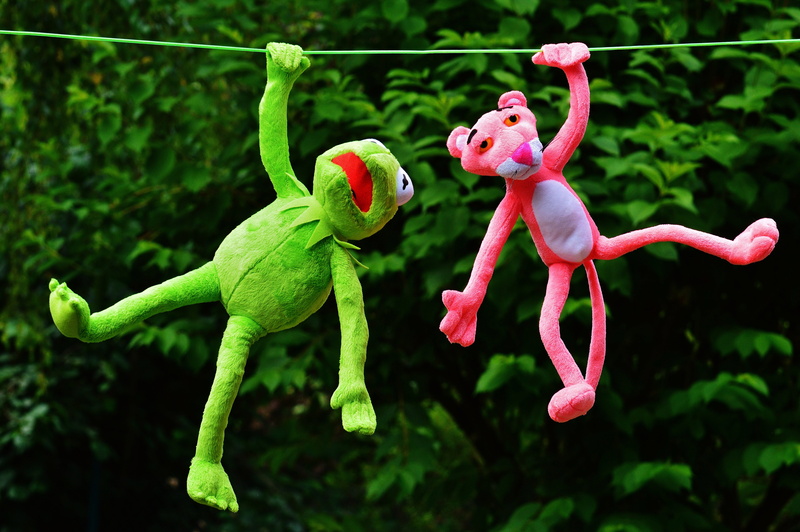 hanging, animal themes, animal, tree, animal wildlife, fun, growth, toys, animal representation, Plush toys, Kermit, stuffed animals, representation, pink