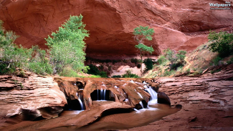 3d and abstract, oasis, desert, cave, 1080P, trees, stream