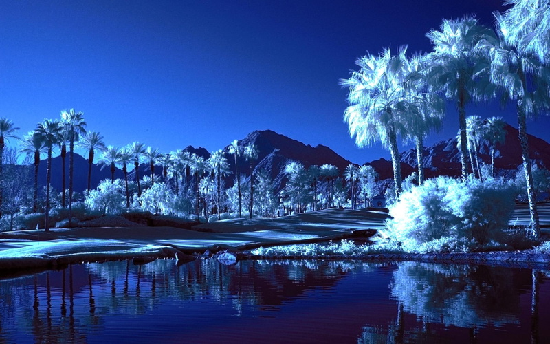 oasis, 1080P, water, 3d and abstract, palm trees, mountains