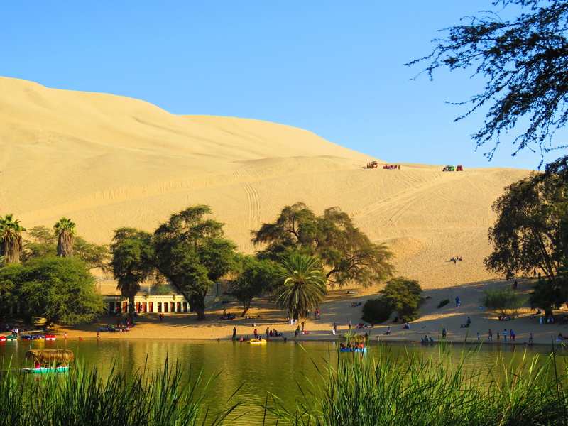 desert, people, tranquil scene, sand, land, plant, body, palm tree, scenics - nature, day, lake, sky, pond, tranquility, nature, beauty in nature, beside