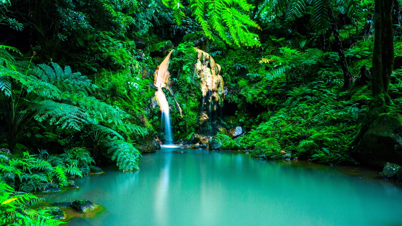 landscape, view, rainforest, water, nature, land, tropical rainforest, foliage, portugal, mountain, lake, beauty in nature, oasis, trees, turquoise colored