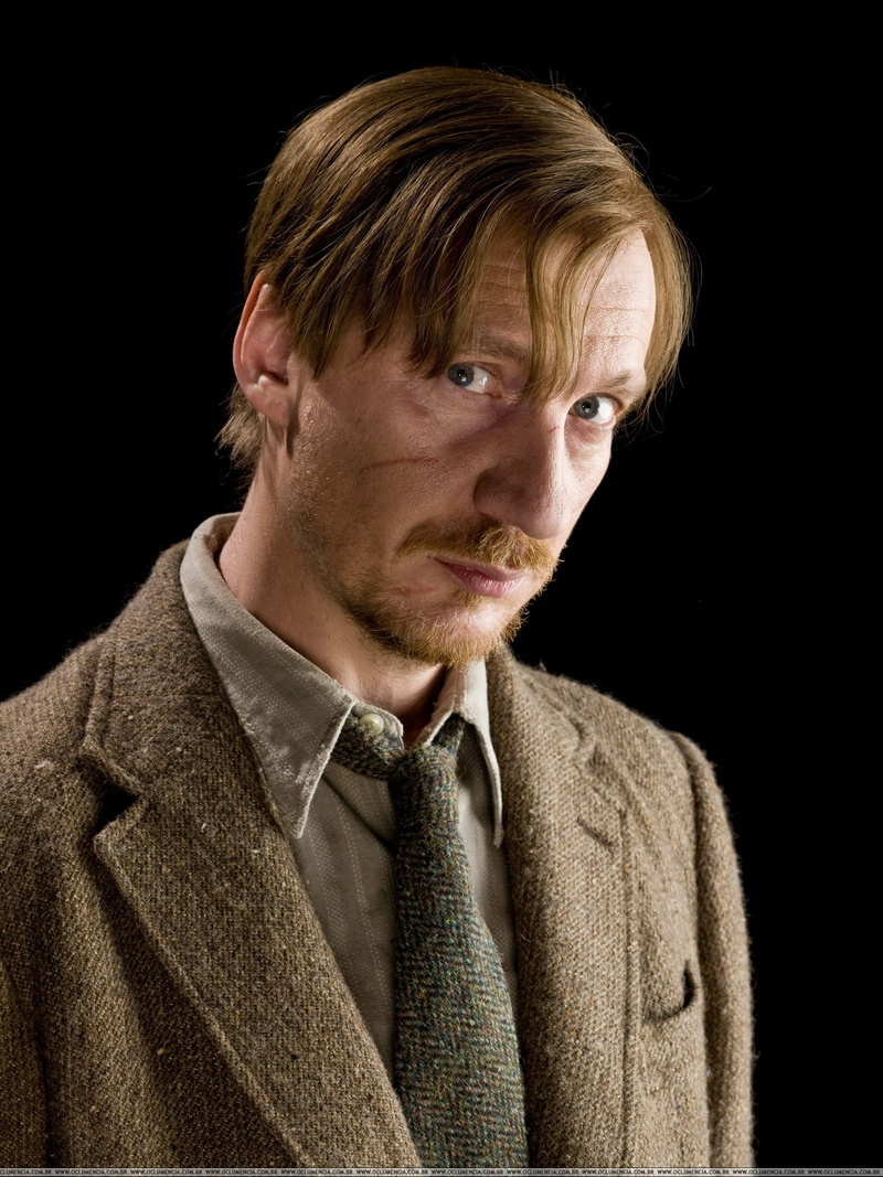 david, thewlis, cast, lupin, people, art, x, potter, 2K, harry, remus, actors, Harry Potter, hd