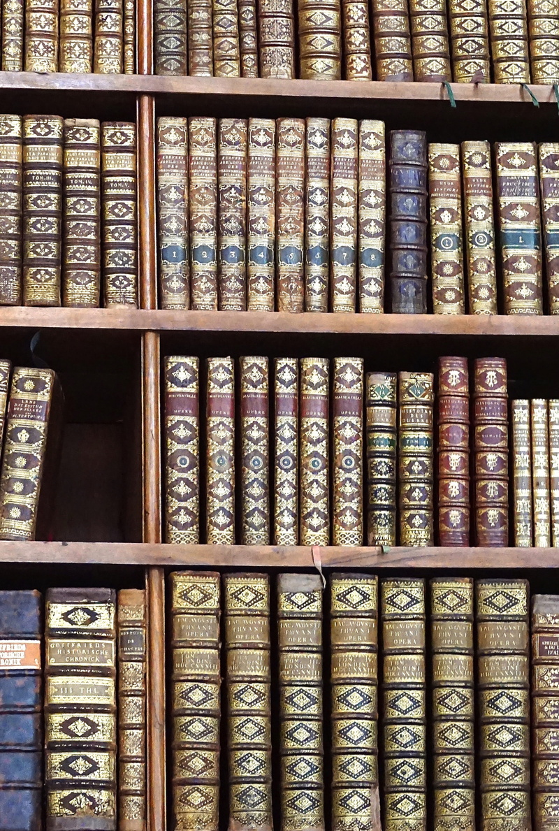book Spine, order, historically, archives, national, the past, shelf, no people, literature, close-up, old, emperor franz joseph, learning, old books, sissy