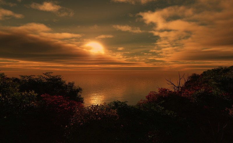 sun, Goes, sky, beauty in nature, tree, sea, idyllic, d, horizon over water, Down, non-urban scene, nature, 2K, growth, 3D, silhouette, orange color, plant