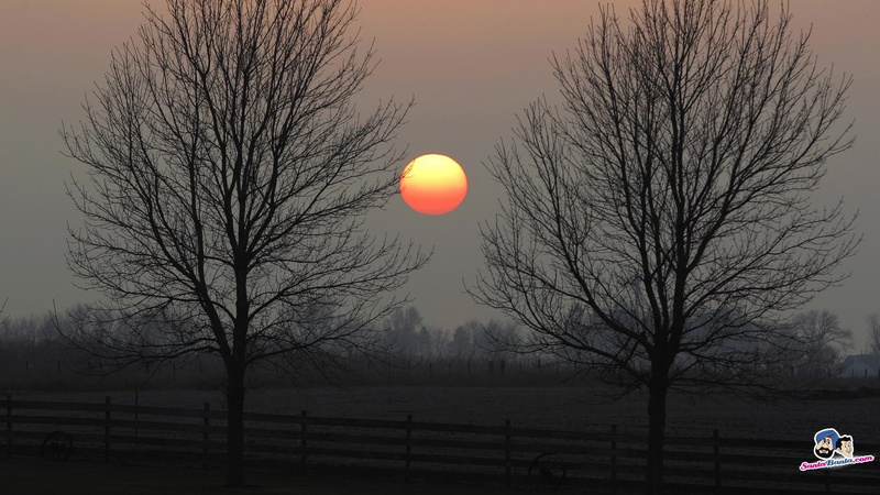 1080P, down, sunset, 3d and abstract, goes, sun, trees, pretty