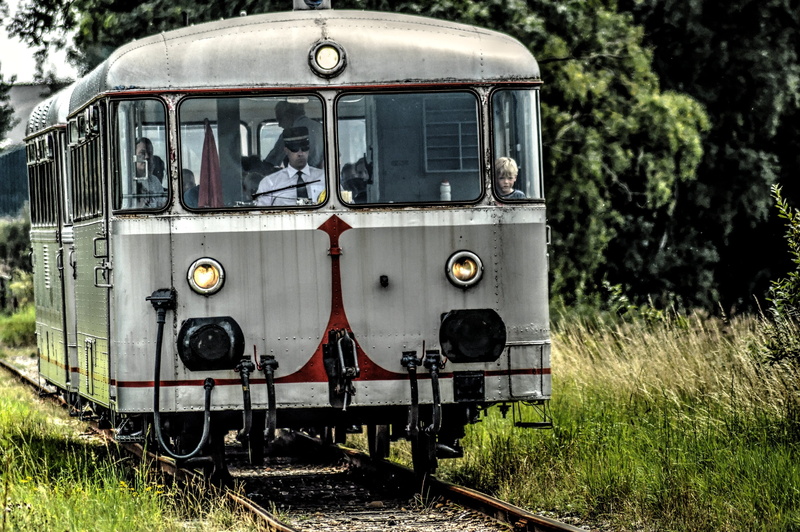 travel, public transportation, goes, day, land vehicle, launceston, grass, transportation, train - vehicle, tree, train, plant, land, no people, rail transportation