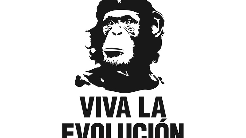 animal, fun, black, drawing, man, cartoon, art, silhouette, graphic, artwork, people, clip art, clipart, 1080P, design
