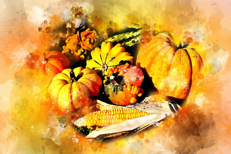 flowering plant, orange, eco, plant, close-up, harvest, no people, still life, elitexpo, painting, high angle view, flower, pumpkins, flower head, wellbeing