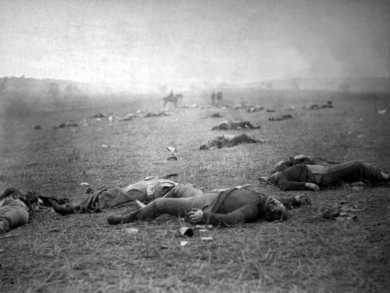 battlefield, social issues, animal themes, public domain, antique, casuaties, Union, civil, group of animals, vertebrate, black And White, old-fashioned
