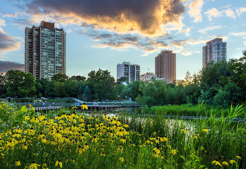 park, sky, Skyscrapers, Night, clouds, city, Sunset, 1080P, landscape, grass, Illinois, flowers, yellow, trees, USA, Chicago, pond