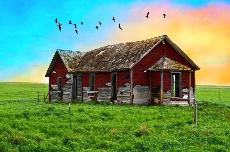 Empty, Vacant, Creative Commons, farm, nature, Abandoned House, gray house, gray, Collaboration, house, Still Standing, grass, brown, rural Scene, outdoors