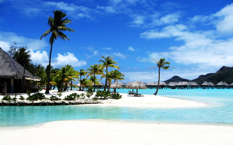 tranquility, coconut palm tree, water, sunlight, nature, blue, island, boracay, ships, coral, home, pool, reefs, 4K, life, scenics - nature
