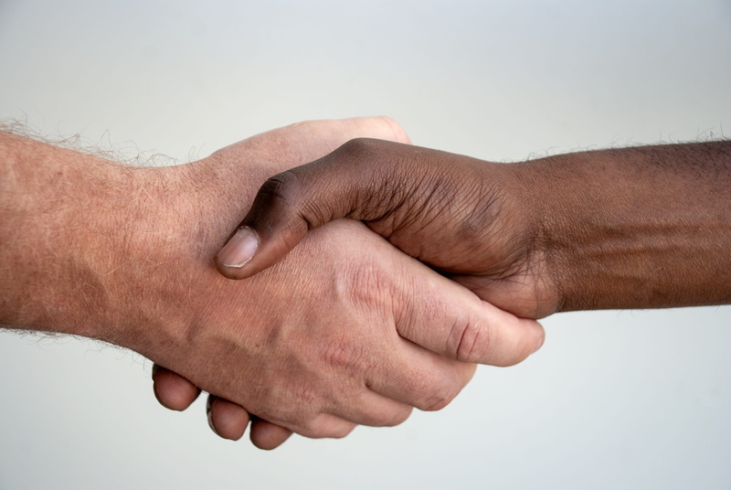 white, friendship, human hand, wrist, human body part, human limb, togetherness, teamwork, people, adult, handshake, partnership - teamwork, hand, contract