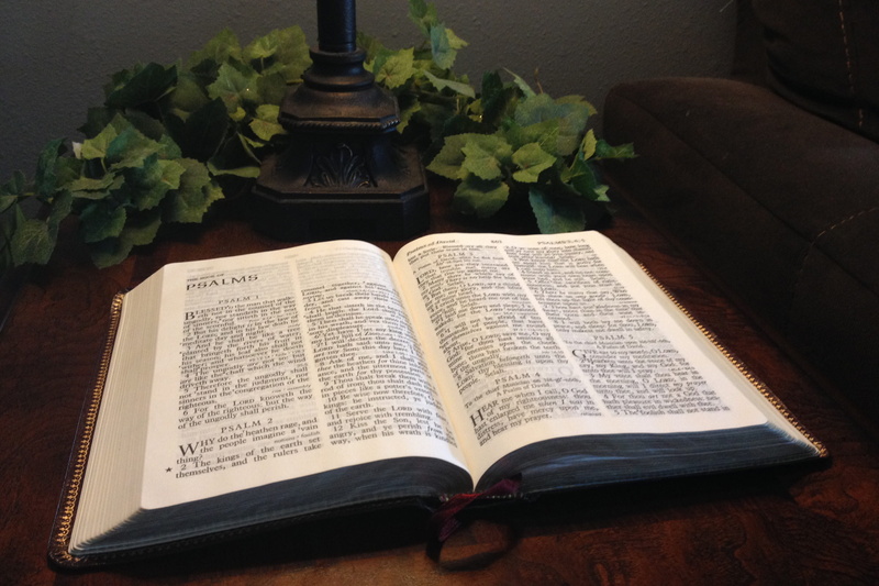 paper, bible, dark, indoors, various, expertise, book, no people, belief, spirituality, music, high angle view, sheet, text, religion, open, arts culture and entertainment