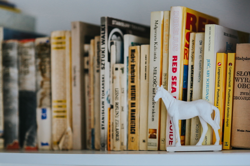 shelf, Books, indoors, close-up, order, expertise, selective focus, still life, old-fashioned, number, bookcase, 5K, wisdom, large group of objects, no people