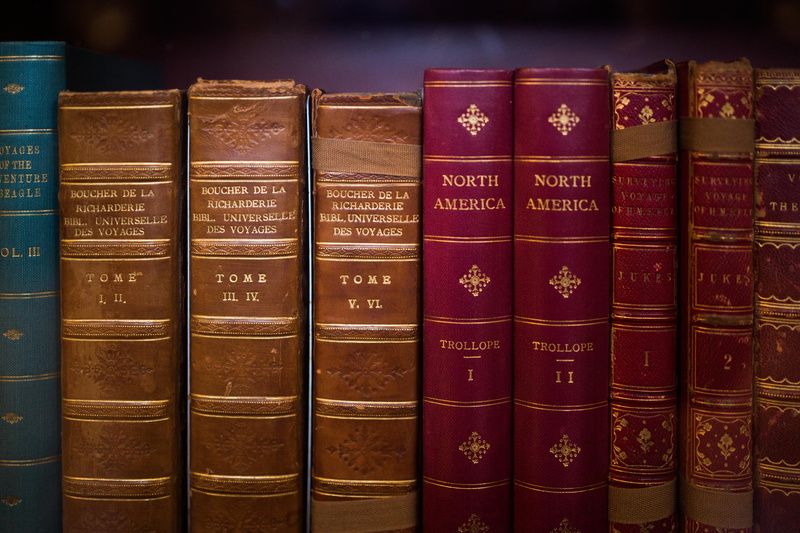 history, studying, writing, leather, literature, hardcover book, old, education, people, assorted, large group of objects, dust, activity, bookshelf, 5K