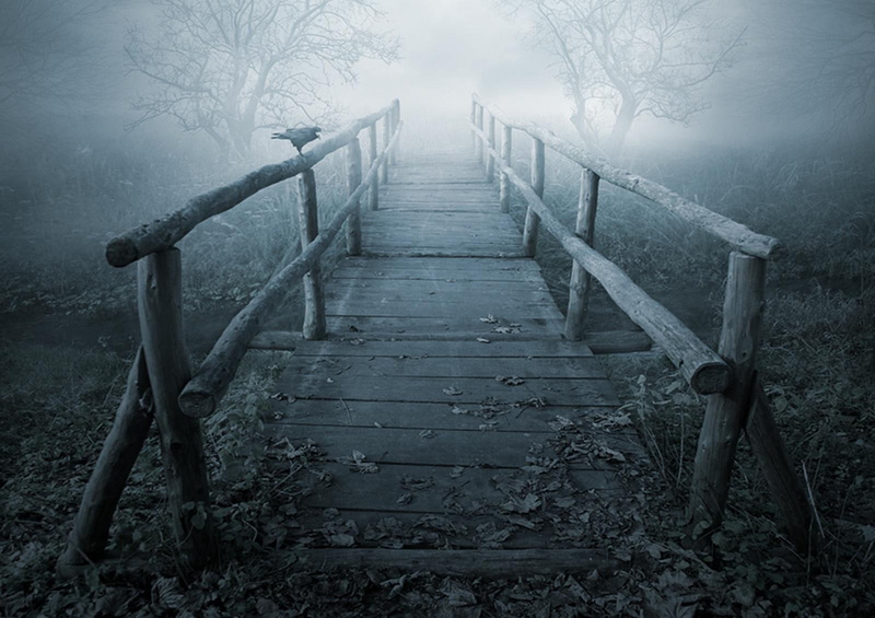 crow, s, blue, 720P, sorrows, nature, bridge, november