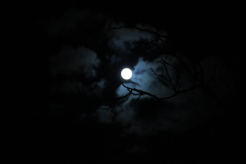 astronomy, sky, full moon, at night, 2K, beauty in nature, spooky, planetary moon, black background, moon, cloud - sky, low angle view, dark, cloud, scenics - nature