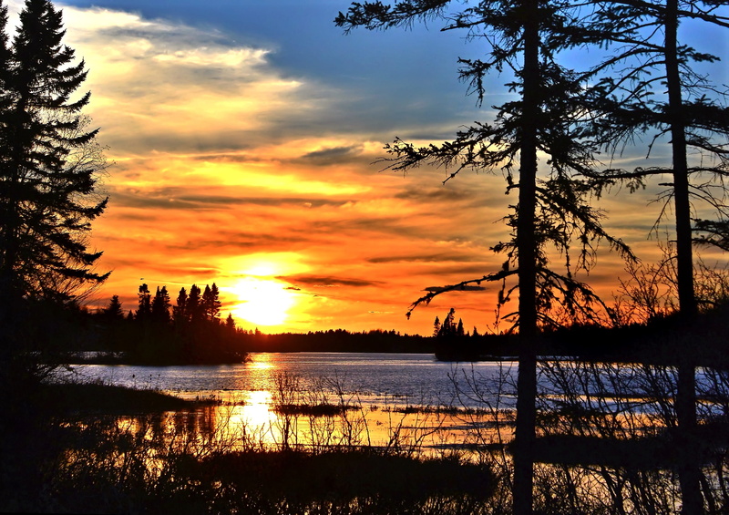body, electricity, colors, sunlight, tree, sunrise - Dawn, evening, québec, orange Color, idyllic, dusk, canada, scenics - nature, near, reflection, water