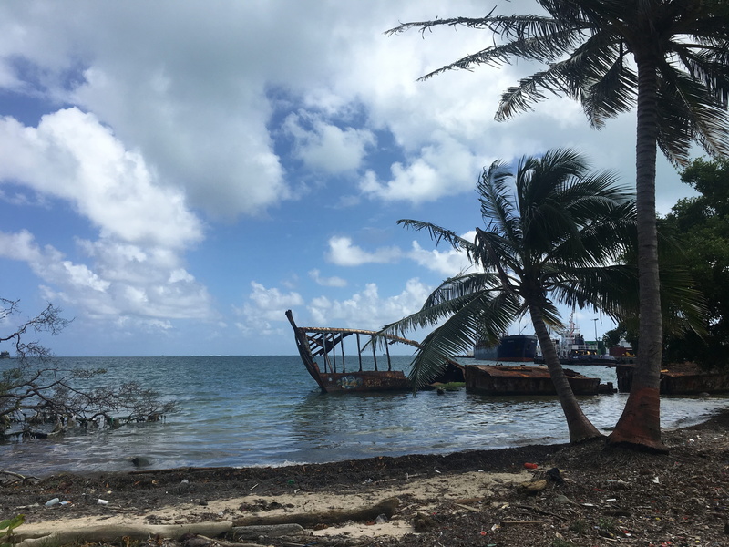 beira mar, tropical climate, land, summer, cloud - sky, costa, outdoors, beauty in nature, 4K, water, ocean, sand, quiet, horizon over water, Coconut Tree