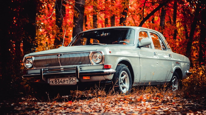 change, land vehicle, forest, mode of transportation, Russian cars, plant part, classic, GAZ-24 Volga, tree, day, transportation, land, leaves, fall, retro styled