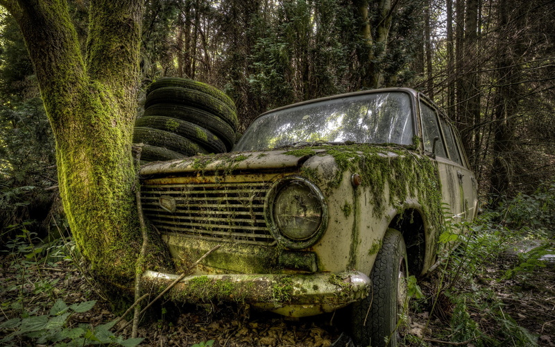 land vehicle, nature, leaves, mode of transportation, moss, ruined, Trees, branch, hdr, no people, abandoned, obsolete, Wreck, forest, run-down, land, old Car