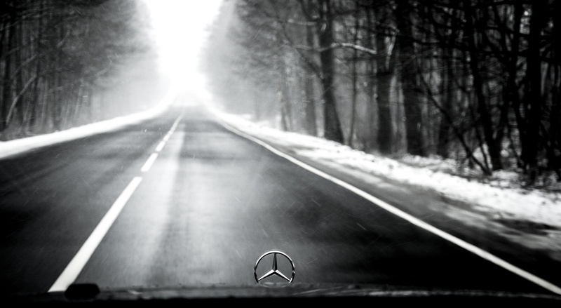 asphalt, day, road marking, marking, pine, russia, car, transportation, trees, traffic, snow, no people, russian landscape, journey, plant, sunlight, living nature