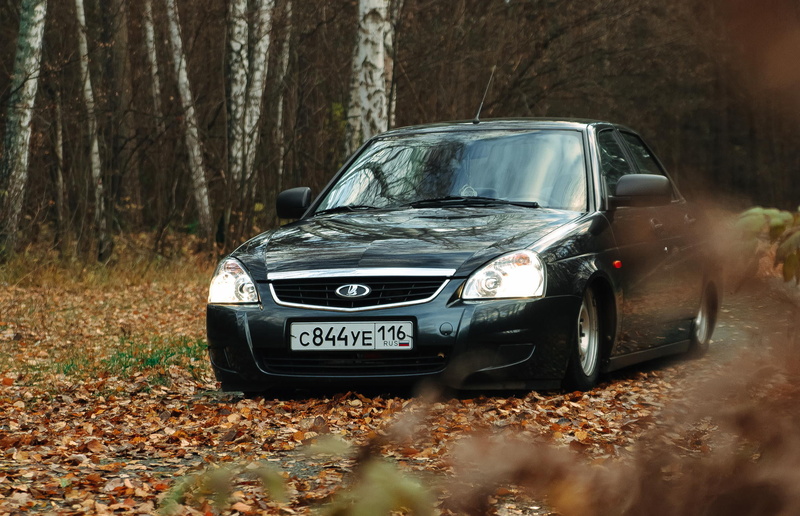 environment, leaf, nature, sports Car, plant part, mode of Transport, field, very leaves, rural Scene, car, Prior, motor Vehicle, wheel, no People, modern